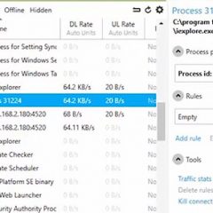 Informacao-de-uso-de-banda-atraves-do-Netlimiter-processos