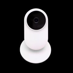 IP cameras