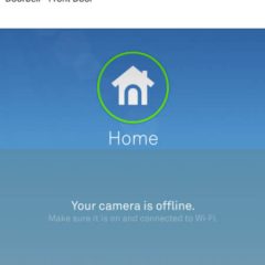 Nest Cam Offline