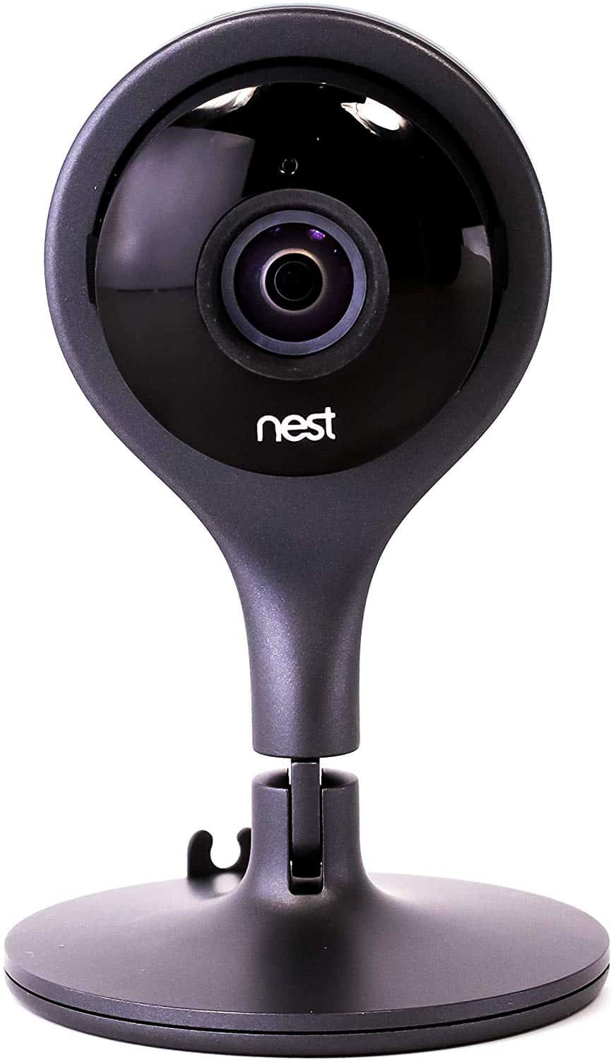 NestCam