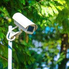 CCTV security camera for surveillance in green park