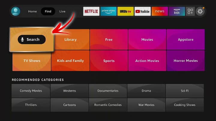 Search on Fire TV Stick