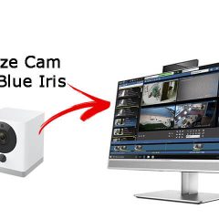 Wyze Cam on Blue Iris