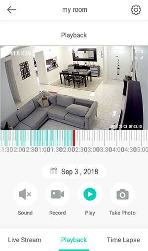 Wyze Cam Playback