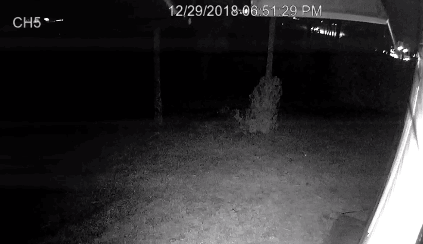 Security camera at night