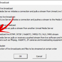 Unteal Media Server New Broadcast Rebroadcast