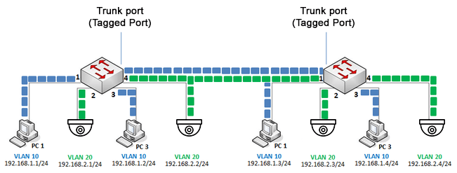 Vlan Trunk ports